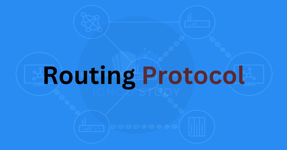 What is Routing Protocol ?