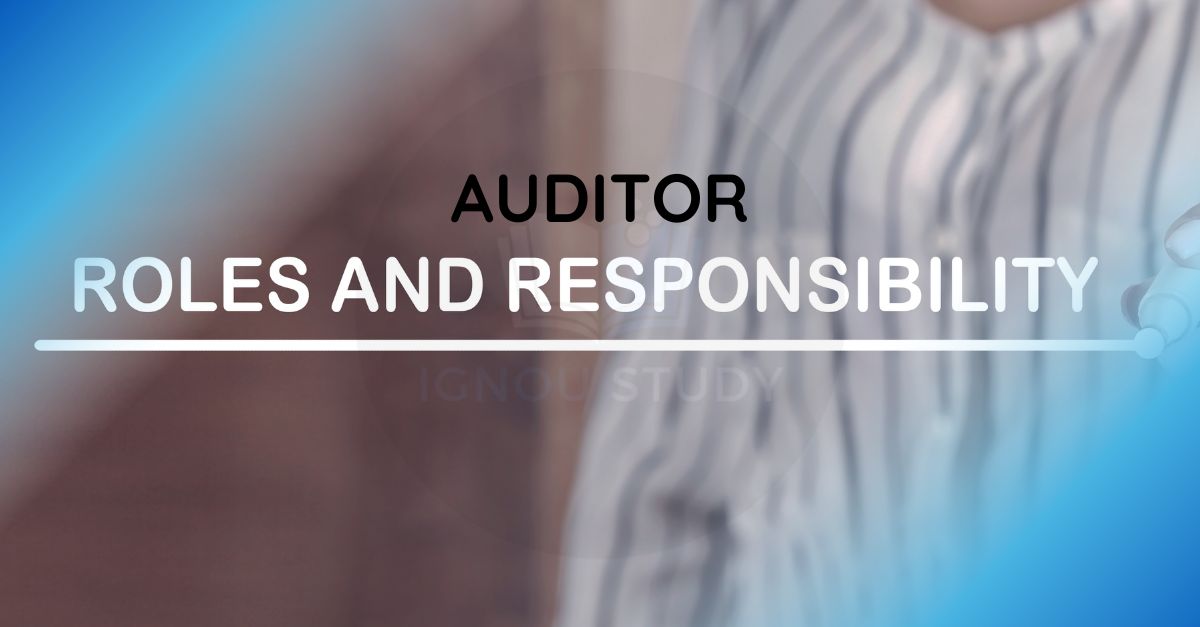 Auditor ( Role & Responsibilities )