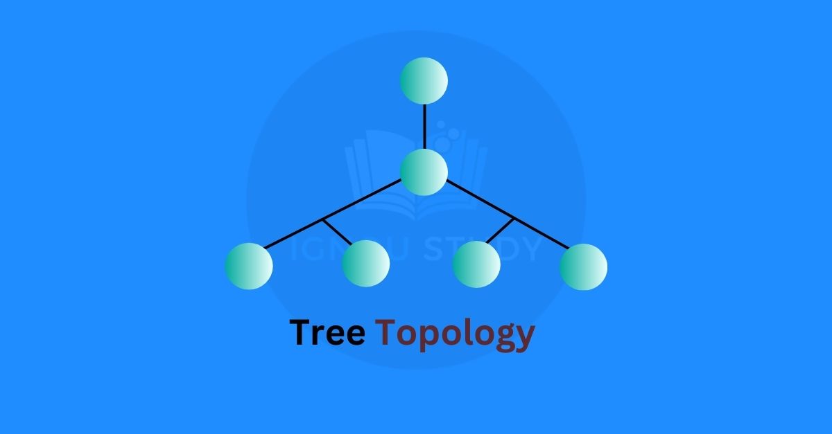 What is Tree Topology ? And its Feature & types