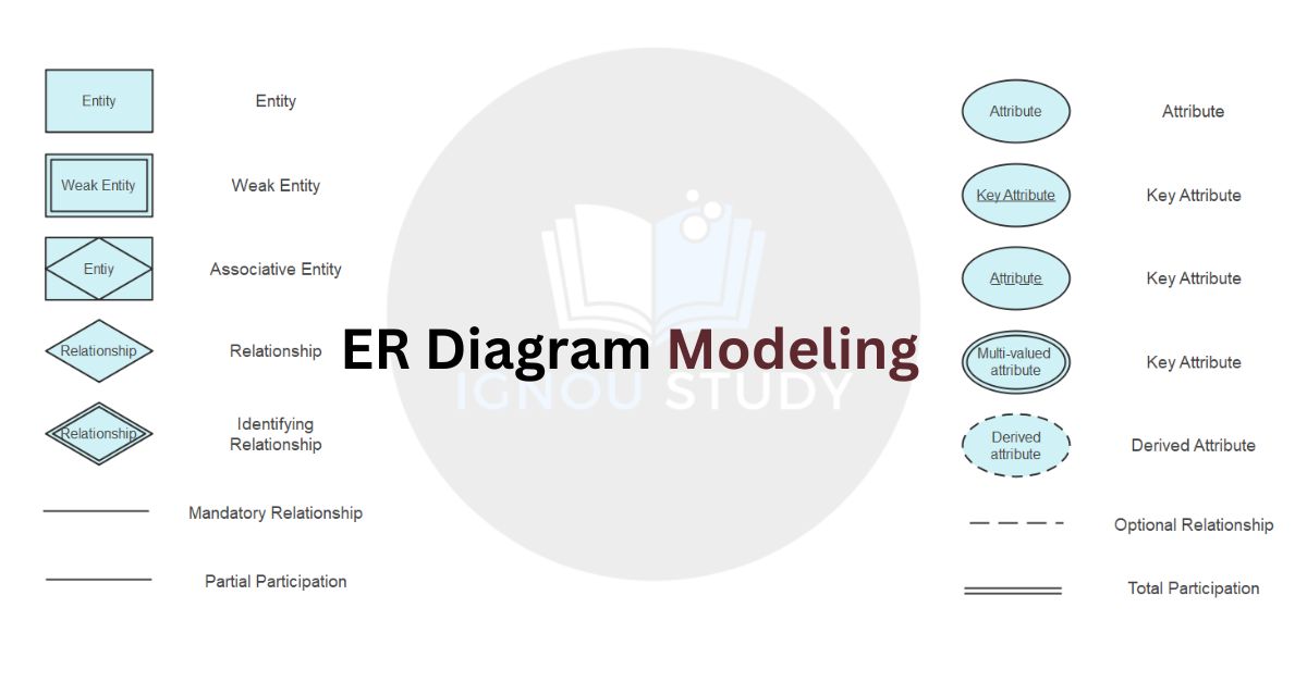 ER Diagram Modeling
